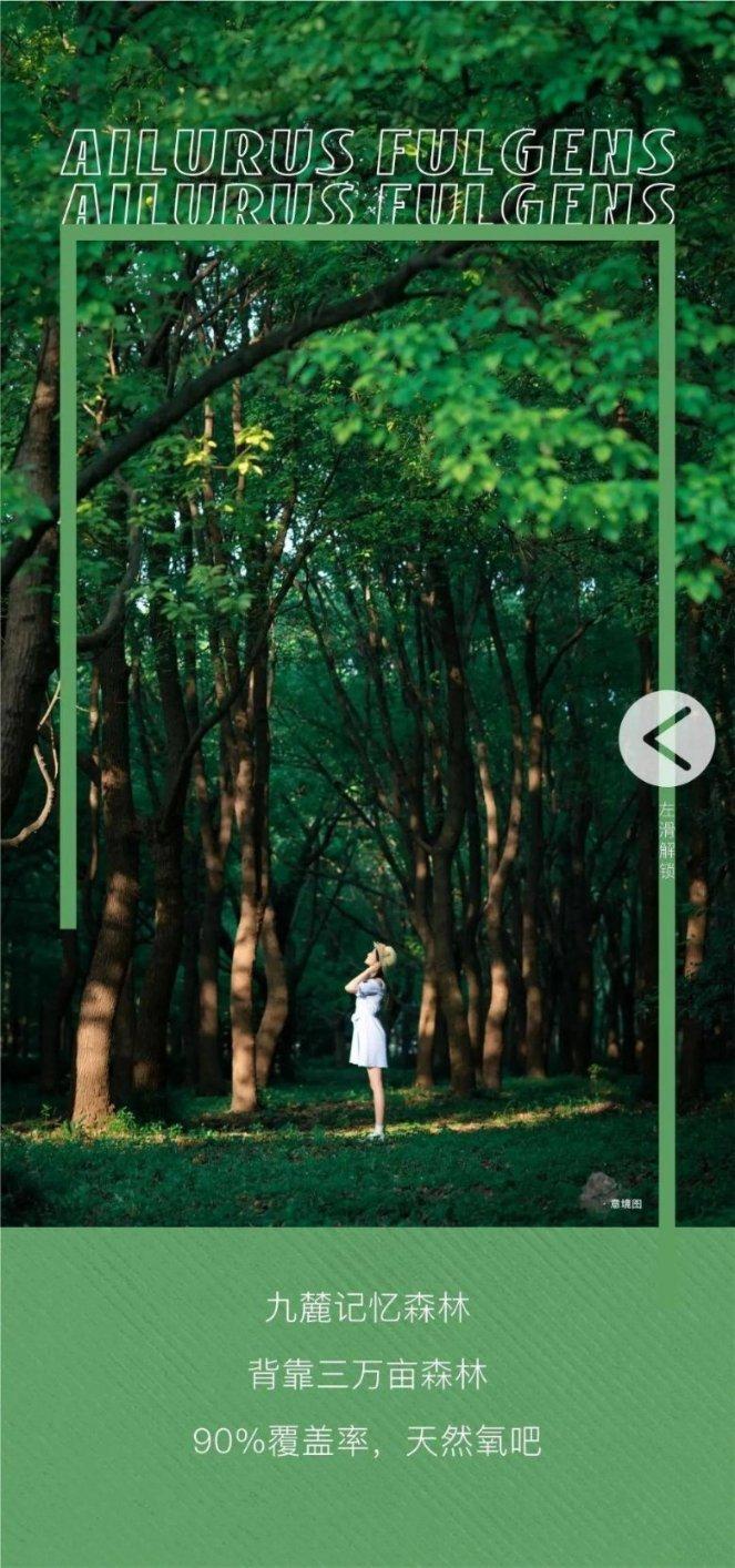 怎么联系竞技宝客服